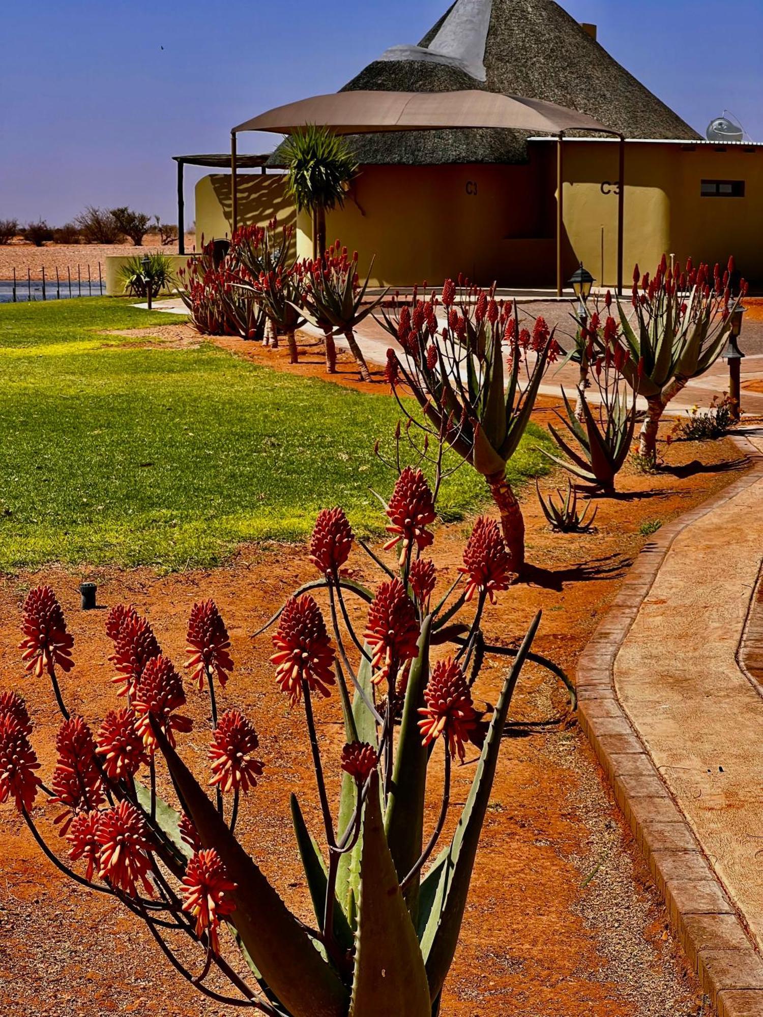 Lapa Lange Game Lodge Mariental Exterior photo